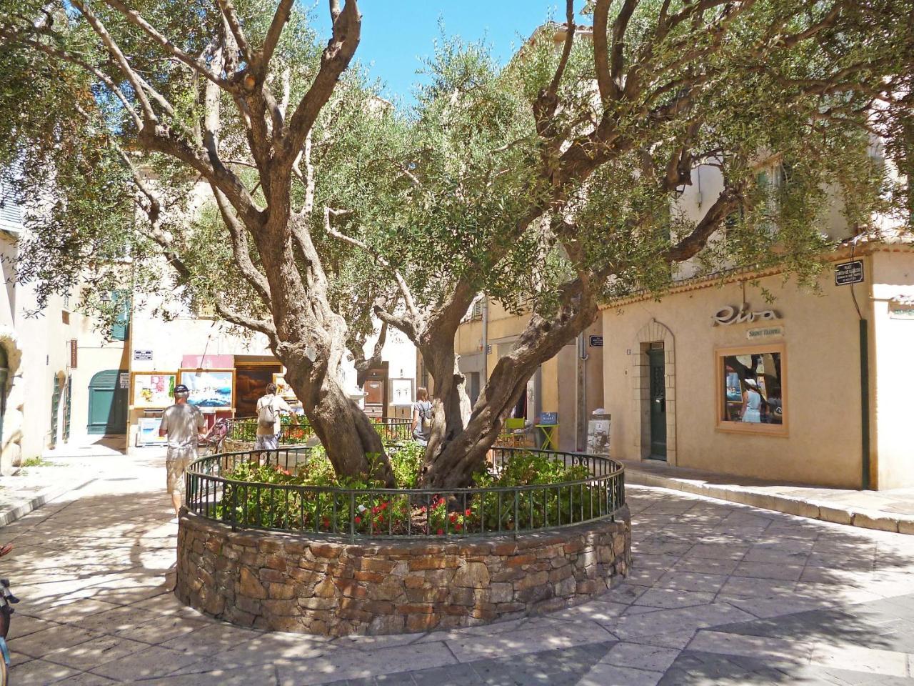 Apartment Eden Parc-4 By Interhome Saint-Tropez Exterior photo